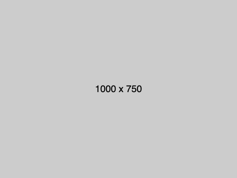 dummy_1000x750_000000_cccccc